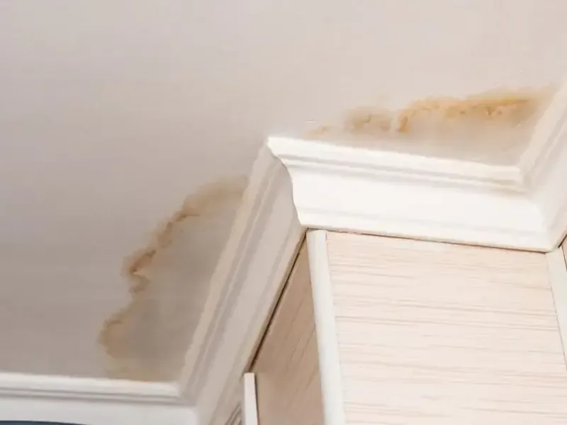 Brown water stain above cabinets at a ceiling corner